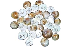 4OUR FAITH Small Gomti Chakra Pack of 11 for Wealth, Health & Success (Very Small Size for Pooja)