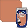 Dulux Easycare Bathroom tester paint - Frosted Papaya - 30ML : Amazon ...