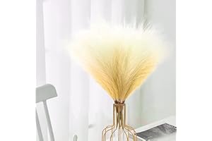 FANNAS 5 Pezzi Erba Della Pampas,Pampas Decorative Piume Decorative Lunghe Piume Della Pampa Finte,Per Matrimonio, Soggiorno, Arredamento Boho, Casa（giallo)