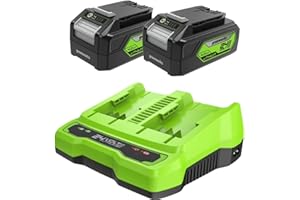 Greenworks Batterie 24V e Caricabatterie Doppio Slot - Due Batterie Ricaricabili 4Ah per Tutti gli Elettroutensili Greenworks 24V, Uscita 48W Tensione 4A, Carica Singola in 60 Minuti - G24B4 & G24X2C
