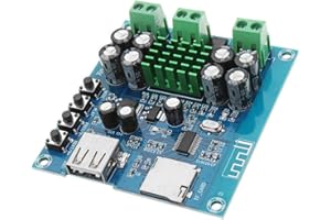 Hailege TPA3116D2 Carte d’amplification Bluetooth double canal 50W + 50W DC 12-24V Prise en charge de la carte TF U Disk Amplificateur Bluetooth sans fil