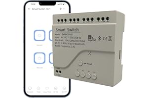 Jane Eyre Interruttore a 4 canale Smart Wifi Interruttore momentaneo/a scatto, Casa intelligente fai-da-te, Supporto eWeLink APP Controllo Bluetooth AC/DC7-32V, Compatibile con Alexa Google Home