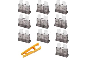 JatilEr 10 Piezas Fusibles Coche, Fusibles 12V Estándar 2A, para Coche y Camiones