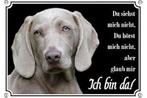 Petsigns Weimaraner - Hundeschild - Warnschild aus Metall - uv-beständig, DIN A4