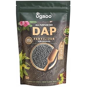 UGAOO Bio DAP Fertilizer for Plants, Home & Garden - 500 gms | Organic DAP Fertilizers For Plants Growth | Improves Flowering, Fruiting & Growth