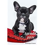 Amazon Fr Bulldog Agenda 2021 220 Pages Calendrier 2021 1 An Complet En Francais Couverture Photo Chien De Race Bouledogue Noir Et Blanc Edition 2021 Boboca Livres