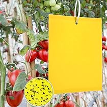 HTN - 48 Pezzi Trappole Per Catcher Per Insetti Appiccicosi Neri Per Interno / esterno, Non