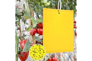 Panngu 50 Gelbtafeln für Obstbäume, Gelbsticker Trauermücken, Perfekt Gelbkarten Gegen Kirschmaden Ungeziefer in Ihrem Garten, Kirschfliegenfalle Bekämpfen Blattläuse Minierfliegen