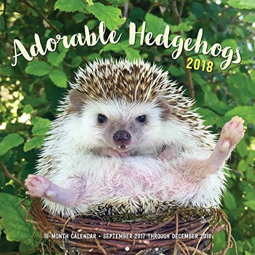 Download Adorable Hedgehogs 2018: 16-Month Calendar September 2017 through December 2018 (Calendars 2018) Download Adorable Hedgehogs 2018: 16-Month Calendar September 2017 through December 2018 (Calendars 2018)