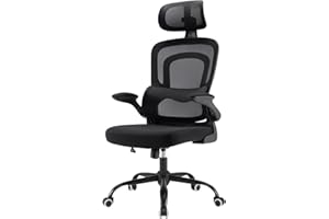Farini Office Desk Chair with Flip-Up Armrest High Back Ergonomic Computer Chair with Adjustable Headrest and Lumbar Support Executive Swivel Chair for Home and Office,Black