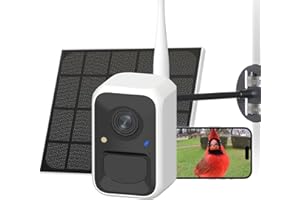 NETVUE Birdfy Telecamera Intelligente per Uccelli Alimentata a Energia Solare con Supporti Regolabili a Qualsiasi Angolo,Identificazione 6000+ Specie di Uccelli,Cattura Video e Ricezione di Notifiche