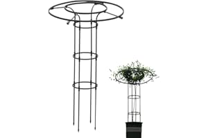 Dirfuny Jardin, Tuteur Plante Grimpante, Jardin Tuteurs Plantes, Treillis Fleur Soutien Arche Jardin en Forme Tour pour Plantes Grimpantes