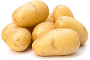 THOMAS RIDLEY Elveden Fresh British Potatoes - 1X25Kg
