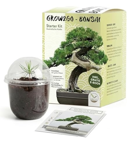yama bonsai Yama Bonsai Rectangle Planter – Northcote Pottery