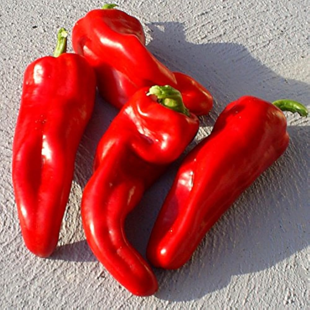 Dulce de Espania - Doux d'Espagne - süßes Paprika - 20 samen