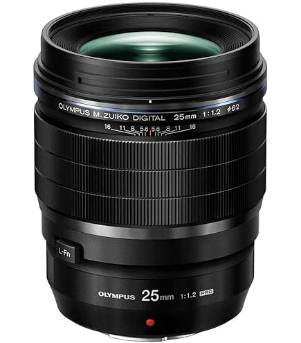 Panasonic Leica DG SUMMILUX 25mm/F1.4 II ASPH. H-XA025: Amazon.co