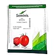 Brivio Hybrid Tomato Seeds, 5000 Count, High Yield Variety