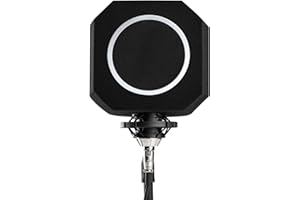 EVIEUN Professional Studio Mikrofon Screen, Akustisches Filter, Desktop-Recording-Mikrofon Wind Screen Rauschunterdrückung, Schallschutz Schaumstoff der Reflexionen Reduziert und Geräusche