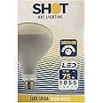 SHOT Lampadina per parentesi Flos R125 11W LED dimmerabile.