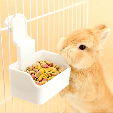 Ciotola In Ceramica Per Conigli E Piccoli Animali – Design Carota, Legno Di Rosa, Morbida E Stabile