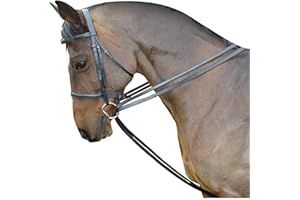 Kincade Leather Draw Reins Set