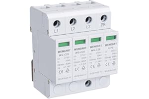 Wengart Überspannungsschutzgerät WG-C20,20-40KA AC275V SPD Hausableiter Elektronisches Schutzmodul DIN-Schienenmontage (3+NPE)
