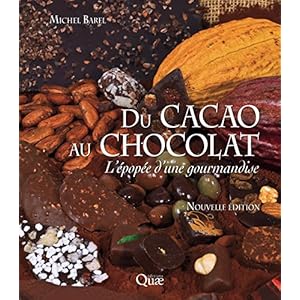 Du cacao au chocolat: L'épopée d'une gourmandise (Hors collection)