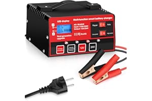 ARRINEW Autobatterie Ladegerät 12V/24V vollautomatische Intelligentes Batterieladegerät mit Rekonditionierungsmodus für Auto, LKW, Motorrad, Roller, Rasenmäher, Boote