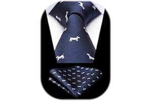 HISDERN Cravatta Fantasia Uomo Fazzoletto Cravatte da Matrimonio Set Cravatta e Pochette Elegante