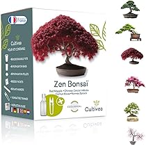 Bonsai Starter Kit  Set Bonsai Anzuchtset 6 verschiedene Bonsa-Samen   Wachstumsanleitung enthalten - Zchten Sie Ihren wunderschnen Bonsai   Geschenkidee fr Mnner und Frauen - CULTIVEA : Amazon.de: Garten