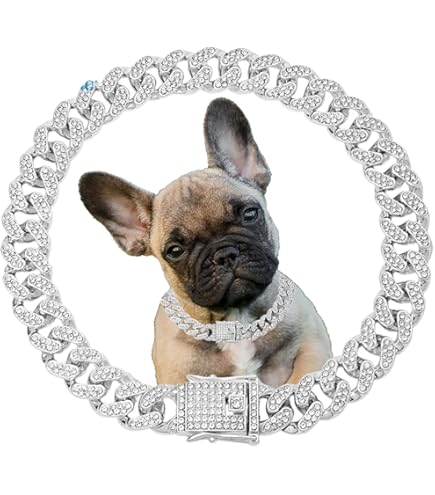 Amabro Diamanten kat ketting halsband, metalen Cubaanse link hondenhalsband met veilige gesp 12 mm brede kat huisdier ketting ketting huisdier halsband sieraden accessoires voor kleine middelgrote