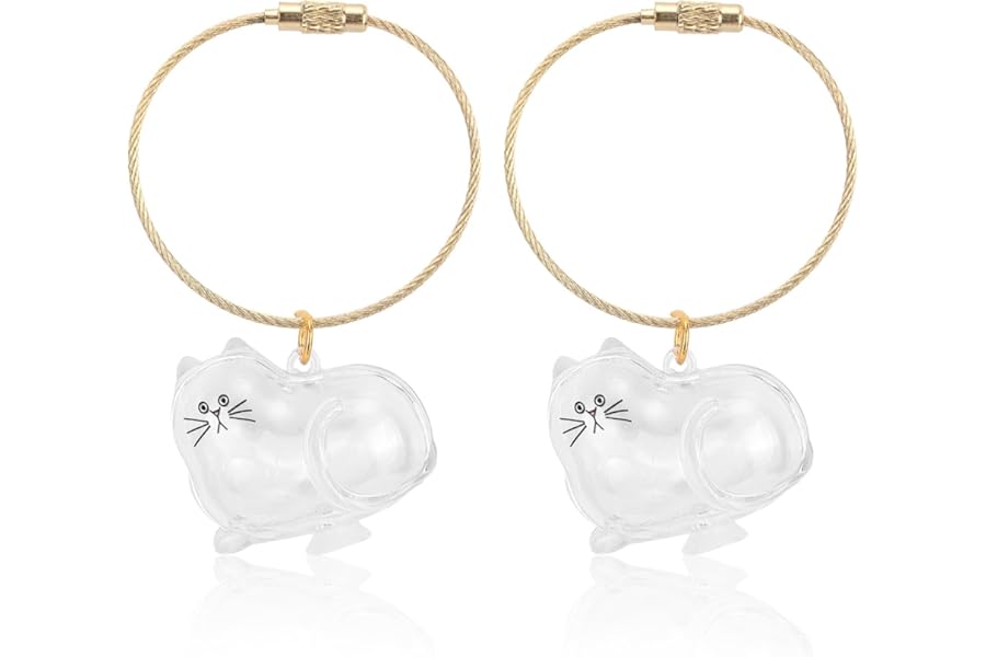 BOXOB 2pcs Cat Hair Collector Keychain, Transparent Cat Hair Memory Charm Storage Bottle Pendant with Gold Keepsake Keyring Thoughtful Gift Fits Pet Owners Memorial Bottle for Collecting Pet Fur