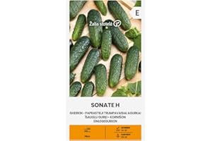 ŽALIA STOTELĖ Zalia stotele | PICKLE - SONATE H Semillas | Semillas de Hortalizas | semillas de pepinillo | semillas de plantas | semillas de jardín | 1 paquete