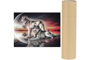 DCIDBEI Square diamond painting full grande lobos piedras cuadradas 50x40cm animales cuadro cuadrado pegamento para puzzle pintura por números punto DIY Kit adultos niños diamantes mosaico para la decor