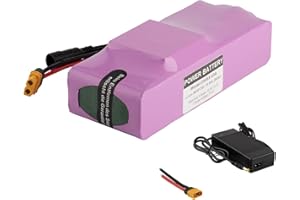 UURRPP Batterie de vélo électrique 24V 7Ah Batterie Lithium-ION 10Ah 12Ah 14Ah 20Ah avec Chargeur 200W-450W 250W 300W 350W Disponible pour Scooter, Jouet, etc.