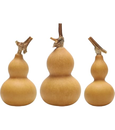 20 Zucche Secche Naturali Per Lavoretti Fai Da Te - Dimensioni 4-6 Cm, Con Gambo, Pronte Per Decorare E Dipingere - 9