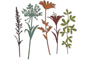 Sizzix Thinlits Die Set 664164, Wildflower Stems #2 by Tim Holtz, 5 Pack, One Size, Paper, Multi-Colour Colour