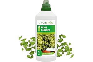 Purgrün® Ficus-Dünger 1 Liter – Schnell wirksame mineralische Rezeptur – Premium-Flüssigdünger mit Spurennährstoffen – NPK 10+4+6 – Stärkt die Widerstandskraft – Für kräftig grüne Blätter