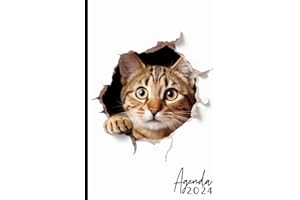 Agenda Settimanale 2024: Da Gennaio-Dicembre 2024| 1 Settimana Su 2 Pagine | Formato A5, Per gli amanti dei gatti