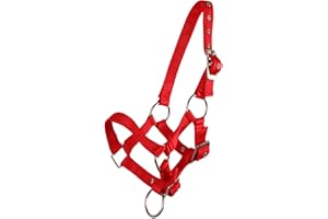 QHP Fohlenhalfter Halfter Fohlen Nylonhalfter 4 Fohlengrößen 6 Farben (Fohlen Full, rot)