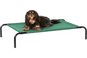 Amazon Basics - Cama elevada refrescante para mascotas Perro - S, Verde