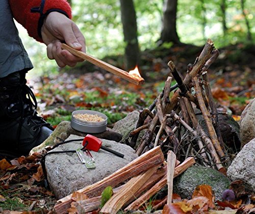 Light-my-Fire TinderSticks 200mm – 5er Pack - 3
