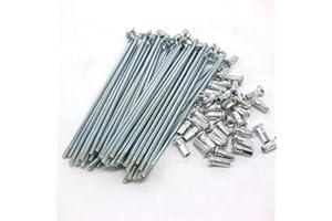 BIKECO 10G - Radios para bicicleta eléctrica (acero al carbono, 3,0 mm de diámetro, con 12 mm, radios de 45-220 mm, para bicicletas eléctricas), color plateado