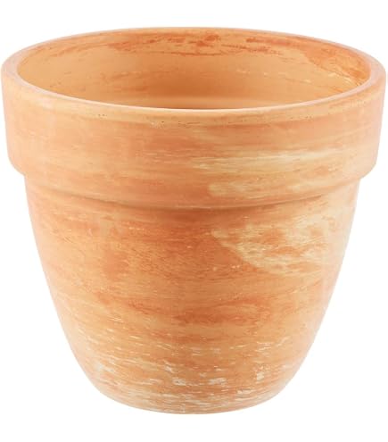 Willy The Worm Water Sensor: L'Indicatore Di Irrigazione In Terracotta Per Piante, Grande 16cm - 3
