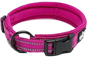 True Love Collier de Chien Réfléchissant Réglable Nylon Solide Confort rembourré Colliers Pet Classic TLC5011(Fuchsia,M)