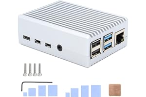 GEEKWORM Raspberry Pi 4 Case, Pi 4 Heavy Duty alluminio passivo caso di raffreddamento per Raspberry Pi 4B solo-argento