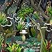 Produktbild The Creatures In The Garden Of Lady Walton by Clogs (2010-03-02)