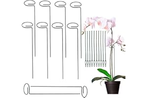 Pack of 10 Orchid Sticks, ASSUGO 40 cm Plant Support, Shrub Holder, Steel Garden Single Stem Support Ring for Orchids, Amaryllis, Peonies, Peppers, Lily etc