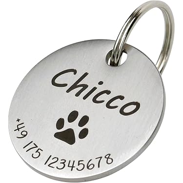 Beeshion Hundemarke Aus Edelstahl – Handgestempelt, 30 Mm, Lustiger Spruch, Hypoallergen & Rostfrei