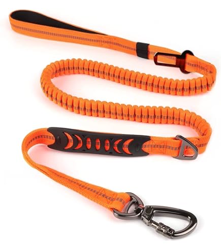 Didog Hundehalsband Aus Leder Mit Messing-Namensschild – Geflochten, Gepolstert, Größe M (30-39 Cm)